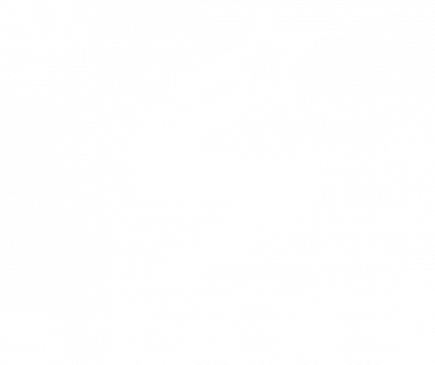 Stars_Logo_standard_white